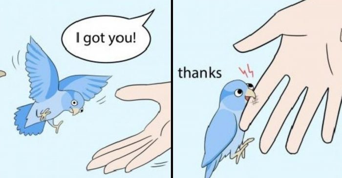 These Hilarious Comics About Parrots Will Made Your Day Better