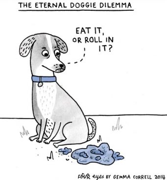 if You own a Pet Then surely These Comics Will make your Day very Good