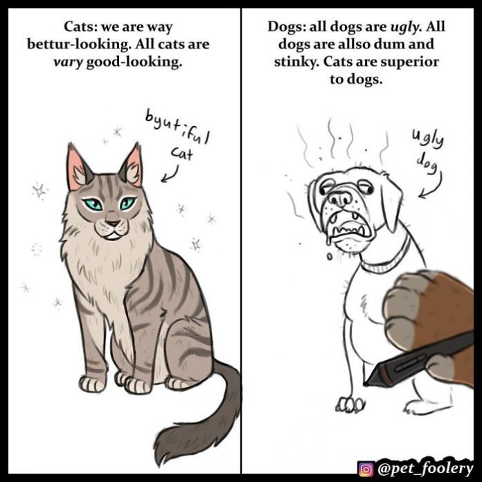 30 Hilarious Differences Between Cats And Dogs